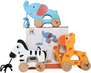 Wooden Pull Along Toy Set
