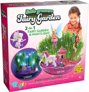 Little Growers Fairy Garden Craft Kit