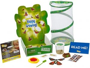 Insect Lore Deluxe Butterfly Garden Gift Set with Live Cup of Caterpillars Habitat